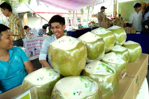 Chuỗi phân phối giá trị trong ngành dừa Việt còn nhỏ lẻ và manh mún.