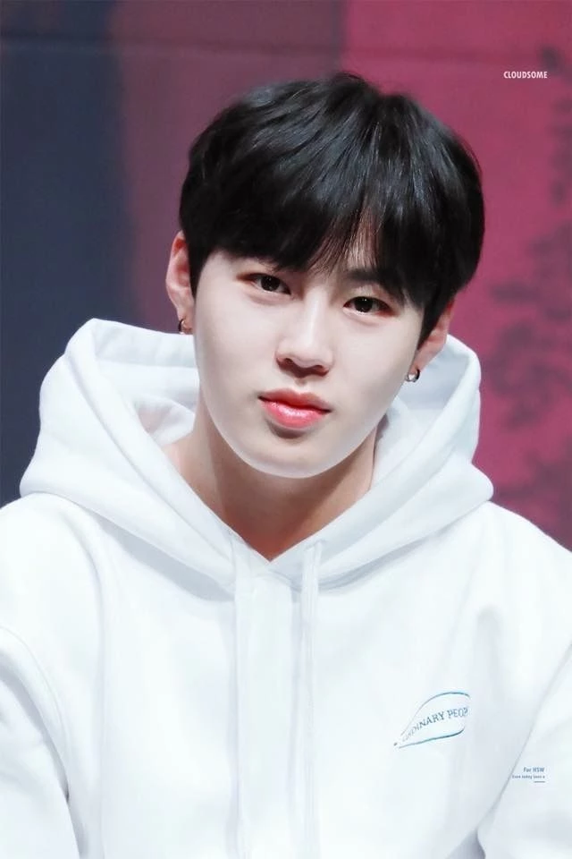 Ha Sung Woon