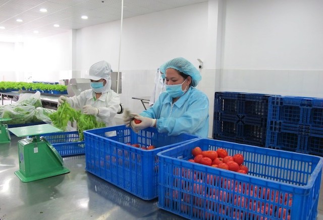 TP.HCM: Đề xuất dự án thực phẩm nông nghiệp an toàn