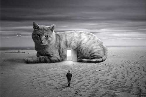 Trắc nghiệm: Bạn là người có tính cách thế nào?