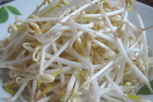 Ăn giá đỗ rất tốt nhưng cũng chứa đầy rủi ro: Nhớ kĩ điều này khi ăn để không rước bệnh vào người