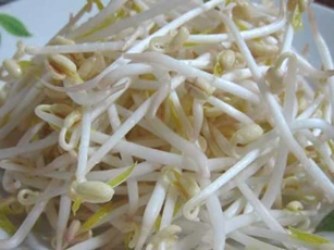 Ăn giá đỗ rất tốt nhưng cũng chứa đầy rủi ro: Nhớ kĩ điều này khi ăn để không rước bệnh vào người