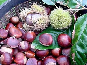 6 loại thực phẩm tăng cường canxi cho bạn