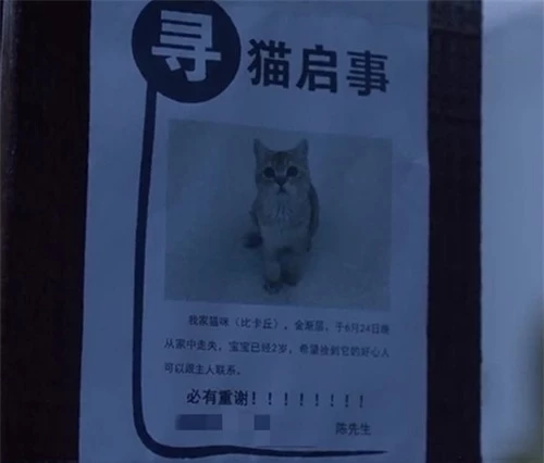 Trong cảnh phim Trần Dữ đi tìm mèo cho vợ, anh có ghi số điện thoại liên lạc trên tờ thông báo. Khi dân mạng tra thử số điện thoại này, thông tin hiện ra là tên của Lâm Hữu Hữu.