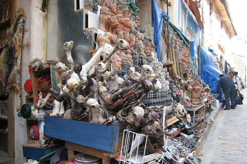 Thăm chợ phù thủy bán nhiều bào thai động vật khô để yểm bùa