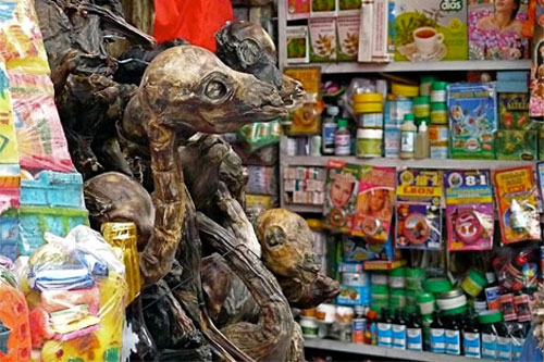 Chợ phù thủy rùng rợn và kỳ quặc nhất thế giới