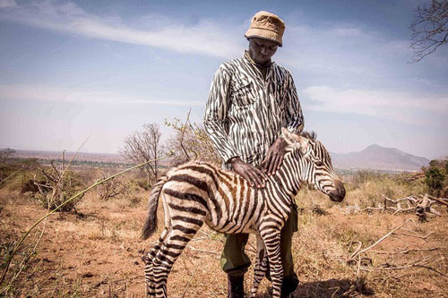 Bức ảnh kể về sự tồn tại khắc nghiệt trong thế giới tự nhiên