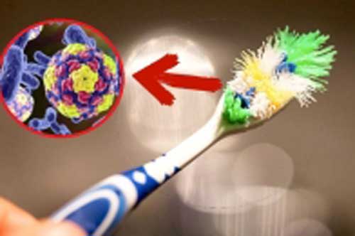 5 đồ vật bẩn hơn bồn cầu: Đều là thứ nhà nào cũng có, vật số 3 chứa đến 45 tỷ vi khuẩn/cm2