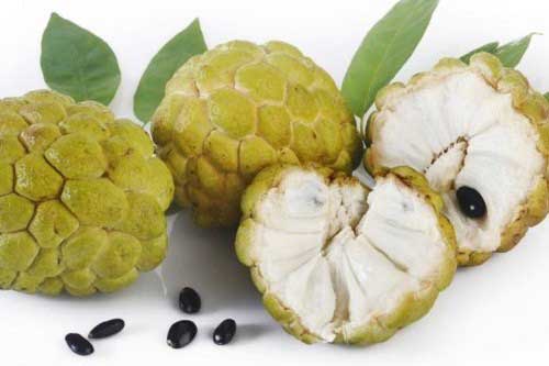 Loại quả ngừa ung thư hiệu quả nhất mà nhiều người đang thờ ơ