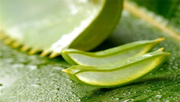 how-to-whiten-skin-aloe-vera