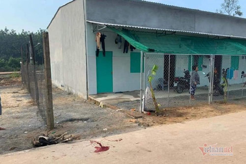 Bình Dương: Đâm chết "vợ hờ" và anh họ trong phòng trọ vì nghĩ là nhân tình