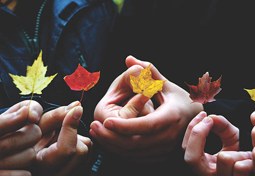 Tarot: Có bao nhiêu người quan tâm bạn thật lòng?