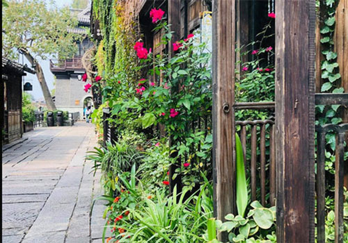 Sau bữa tiệc cùng bạn cũ, tôi chỉ muốn ly hôn chồng