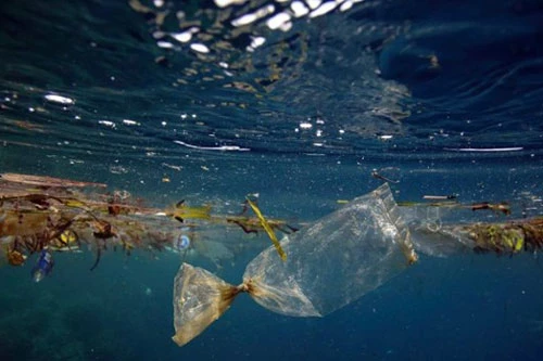 Các nhà nghiên cứu ước tính Đại Tây Dương hiện nay chứa từ 17-47 triệu tấn rác thải nhựa. (Nguồn: Getty Images)