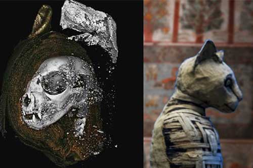 Sự thật sốc về xác ướp thiêng không phải con người trong mộ cổ Ai Cập