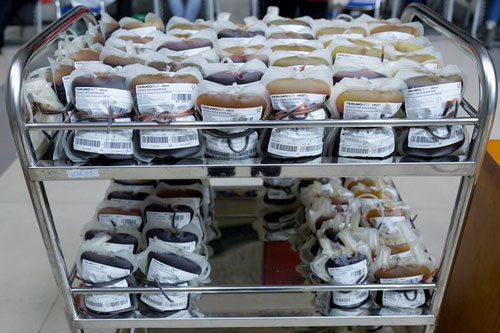 Phụ nữ mang thai có thể hiến máu?