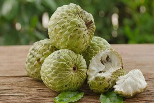 Quả na ngon ngọt lại bổ nhưng cẩn thận có thể bị ngộ độc nếu phạm phải những điều này