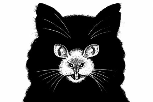 Trắc nghiệm: Bạn nhìn thấy con mèo hay con chuột? Câu trả lời sẽ tiết lộ bí mật về con người bạn