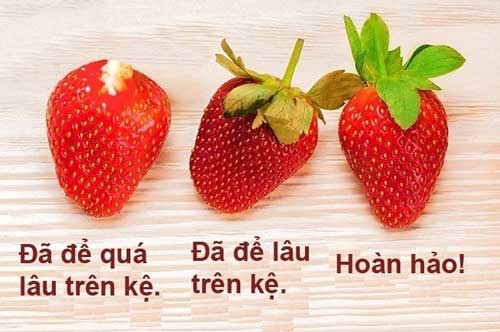 Chỉ 3 giây bạn đã biết cách chọn những quả dâu tây tươi ngon, không nhiễm hóa chất