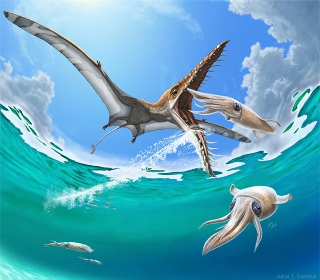 Rhamphorhynchus: Loài thằn lằn bay tí hon sở hữu hàm răng của tử thần - Ảnh 1.