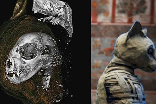 Sự thật về xác ướp thiêng không phải con người trong mộ cổ Ai Cập