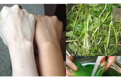 Đun nước lá này tắm trong 1 tuần, da mịn màng "bật tông" rõ rệt