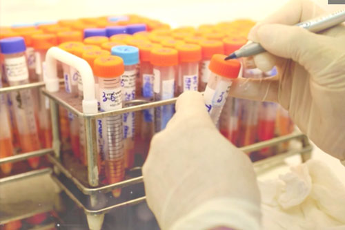 Thêm 6 ca mắc COVID-19 mới tại Đà Nẵng, Hải Dương