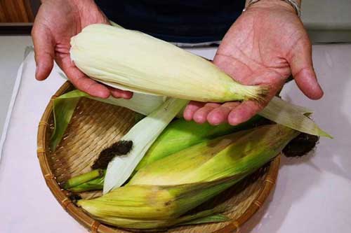 Mẹo bảo quản ngô tươi ngon, tha hồ để cũng không sợ hỏng