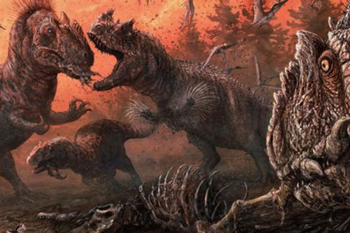 Những mẫu hóa thạch mới tiết lộ loài khủng long Allosaurus không chỉ 'khát máu', mà chúng còn ăn thịt cả đồng loại