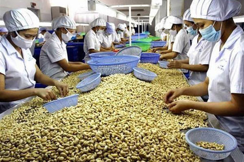 Bộ Công Thương công bố danh sách 268 doanh nghiệp xuất khẩu uy tín năm 2019