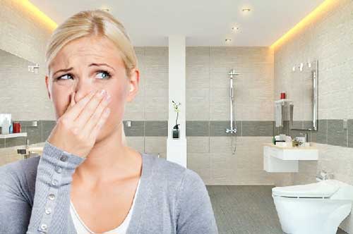 Chẳng tốn tiền mua tinh dầu cao cấp, dùng nguyên liệu sẵn có cũng giúp nhà vệ sinh thơm ngát