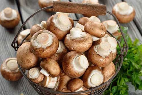 Tuyệt chiêu chọn nấm hương tươi ngon, bà nội trợ nào cũng nên biết