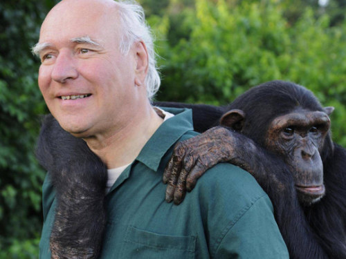 Nguồn gốc của trí thông minh là "hormone hạnh phúc"