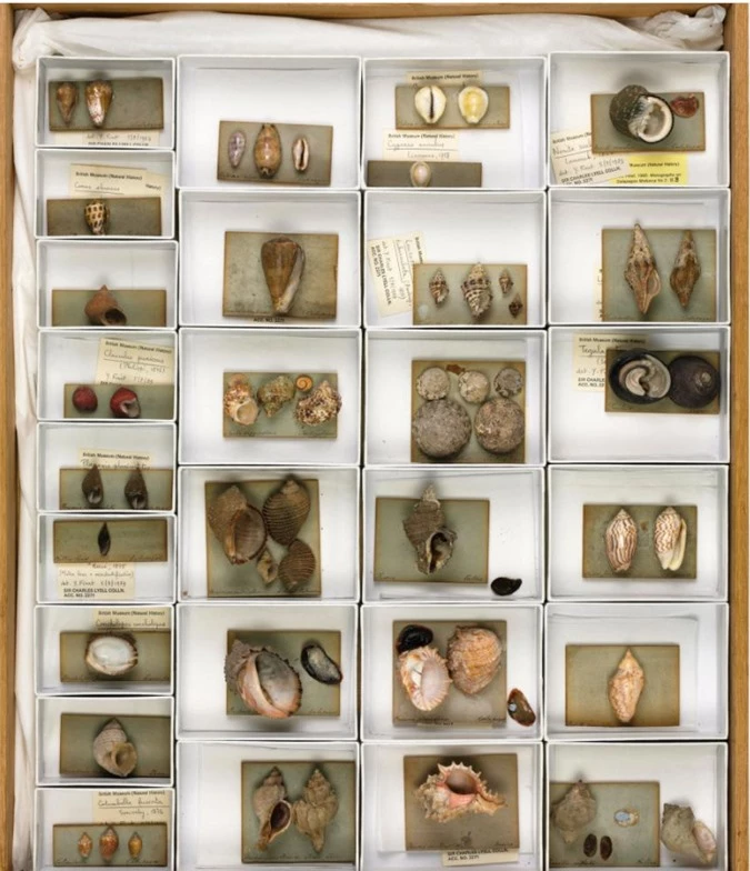 Những hiện vật Darwin mang về sau hải trình, ngày nay được trưng bày ở bảo tàng lịch sử tự nhiên London.