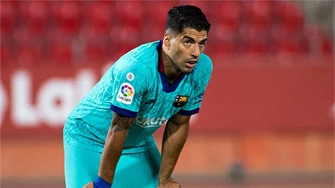 Suarez nổi khùng về cách đối xử 'cạn tình' của Barca và Koeman