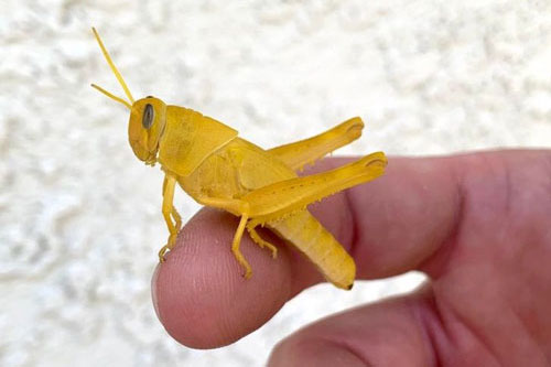 Những bức ảnh tuyệt đẹp có thật mà cứ ngỡ đã được chỉnh sửa qua photoshop