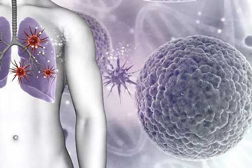 5 thực phẩm được ví là "máy hút bụi" có thể giúp làm sạch phổi, loại bỏ hết mọi độc tố