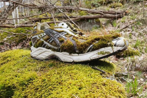 Thích thú với những bức ảnh cứ ngỡ được sắp đặt trước trong tự nhiên