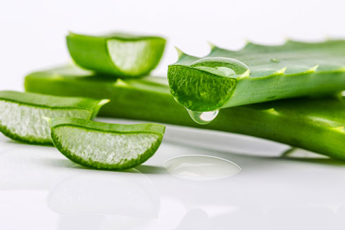 Những lợi ích và tác dụng phụ không ngờ của nha đam đối với sức khỏe