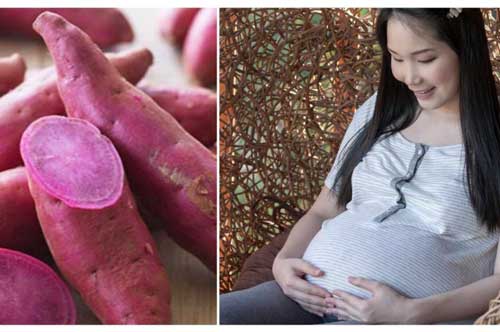 Khoai lang là "thần dược" trị nhiều bệnh, lại cực bổ máu lợi sữa cho phụ nữ sau sinh nếu dùng theo cách này