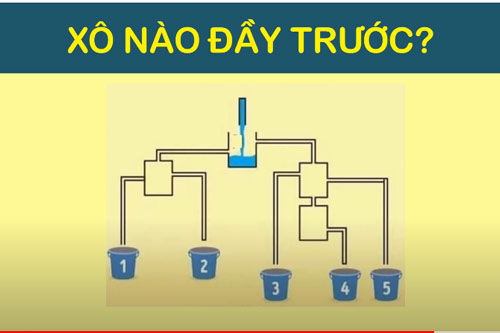 CLIP: 3 câu đố đơn giản nhưng không phải ai cũng trả lời đúng