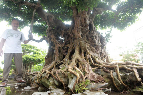 Cận cảnh 'báu vật ẩn mình' có tuổi đời 500 năm ở Hà Nội, trả 100 cây vàng không bán