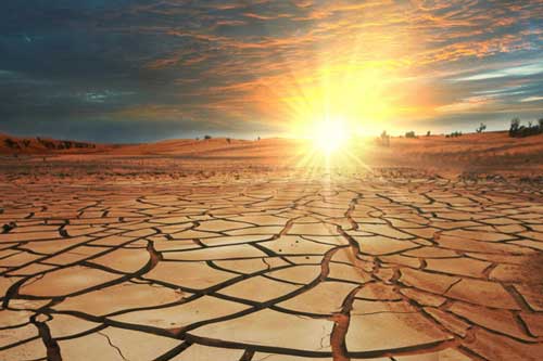 "Bóng ma" từ châu Phi biến Đông Nam Á thành "tử địa" suốt 1.000 năm