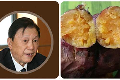 Khoai lang được giáo sư hàng đầu thế giới khẳng định là thực phẩm tốt nhất, ngừa ung thư hiệu quả cao