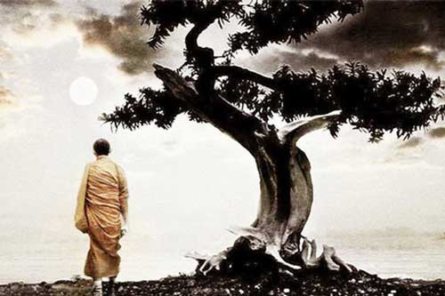 Phật dạy: Người thành công quyết định ở 1 điểm, người hạnh phúc quyết định ở 1 việc