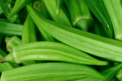 Ngạc nhiên trước khả năng loại bỏ mọi độc tố trong cơ thể từ quả đậu bắp