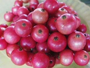 Đây chính là "thần dược" ngừa ung thư giúp bạn cả đời không mắc bệnh tim mạch mà ai cũng đang ném bỏ