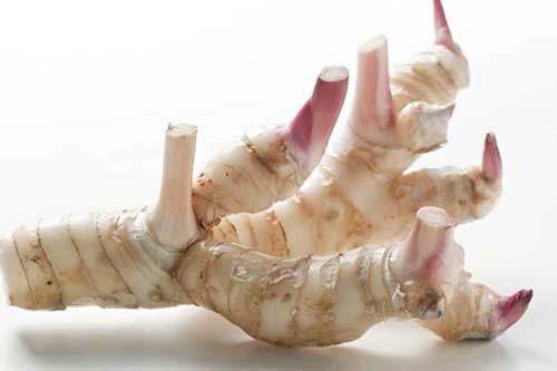 Loại gia vị "thần thánh" giúp chữa "bách bệnh" từ ngàn xưa