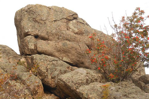Tảng đá cổ đại bí ẩn ở Siberia có thể làm thay đổi hiểu biết về cách nhân loại hình thành