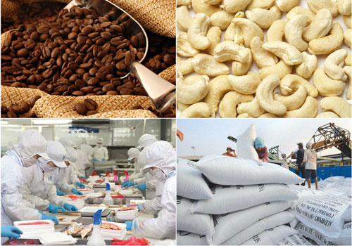 Nông nghiệp xuất siêu hơn 6 tỷ USD trong 8 tháng 2020